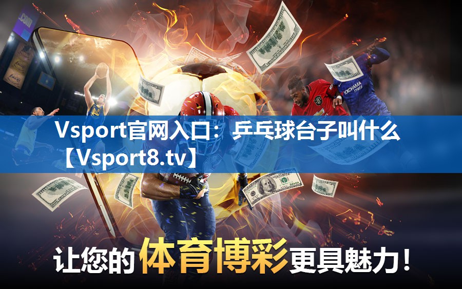 Vsport官网入口：乒乓球台子叫什么