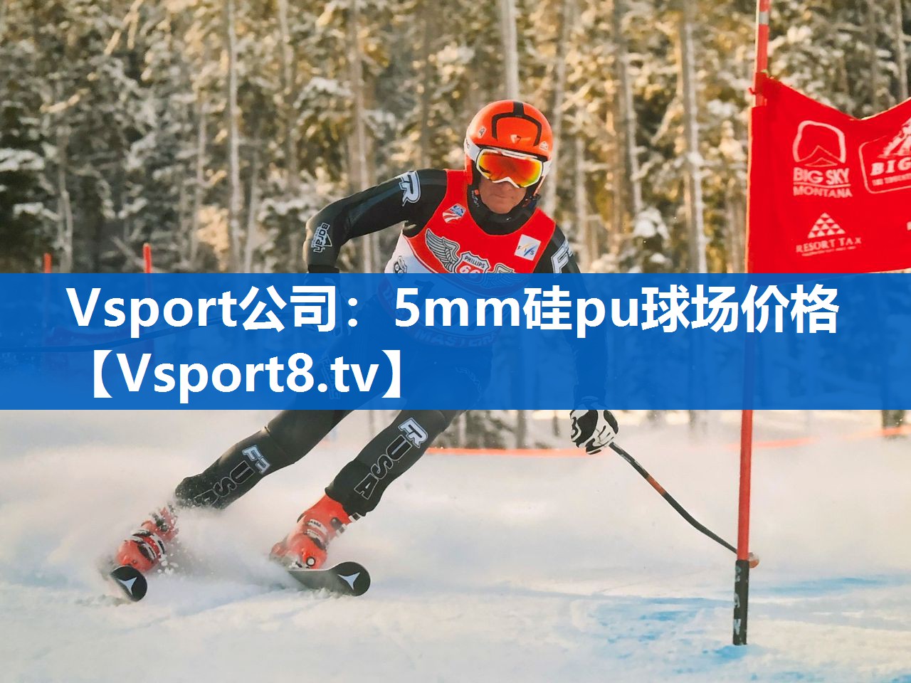 Vsport公司：5mm硅pu球场价格