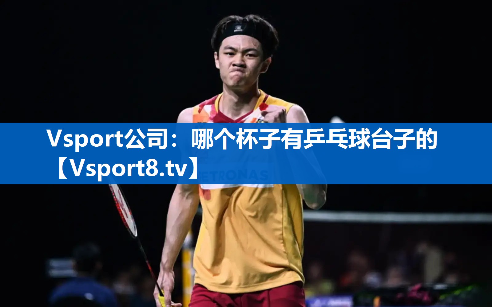 Vsport公司：哪个杯子有乒乓球台子的
