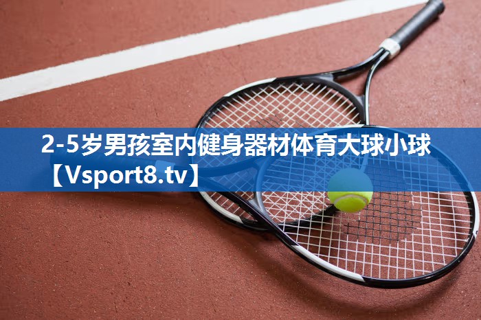 2-5岁男孩室内健身器材体育大球小球
