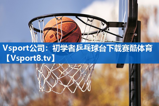 Vsport公司：初学者乒乓球台下载赛酷体育