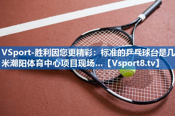 VSport-胜利因您更精彩：标准的乒乓球台是几米潮阳体育中心项目现场…