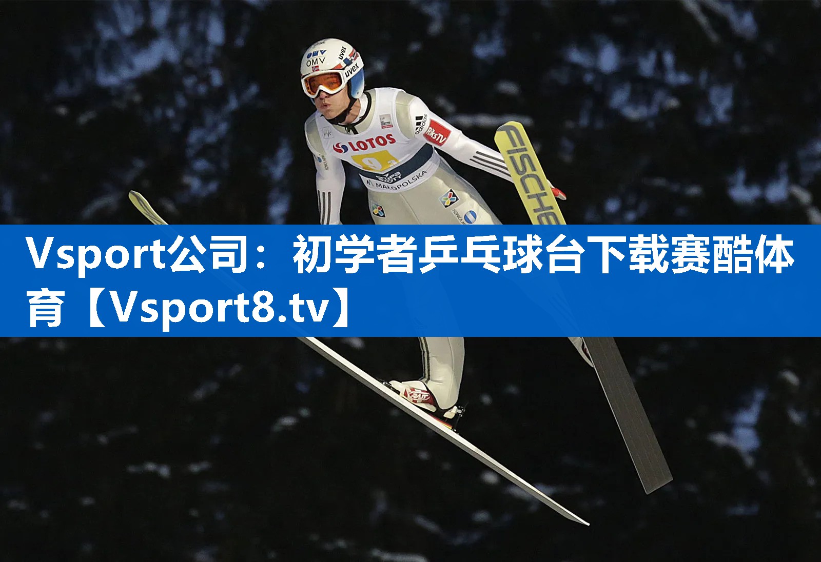 Vsport公司：初学者乒乓球台下载赛酷体育