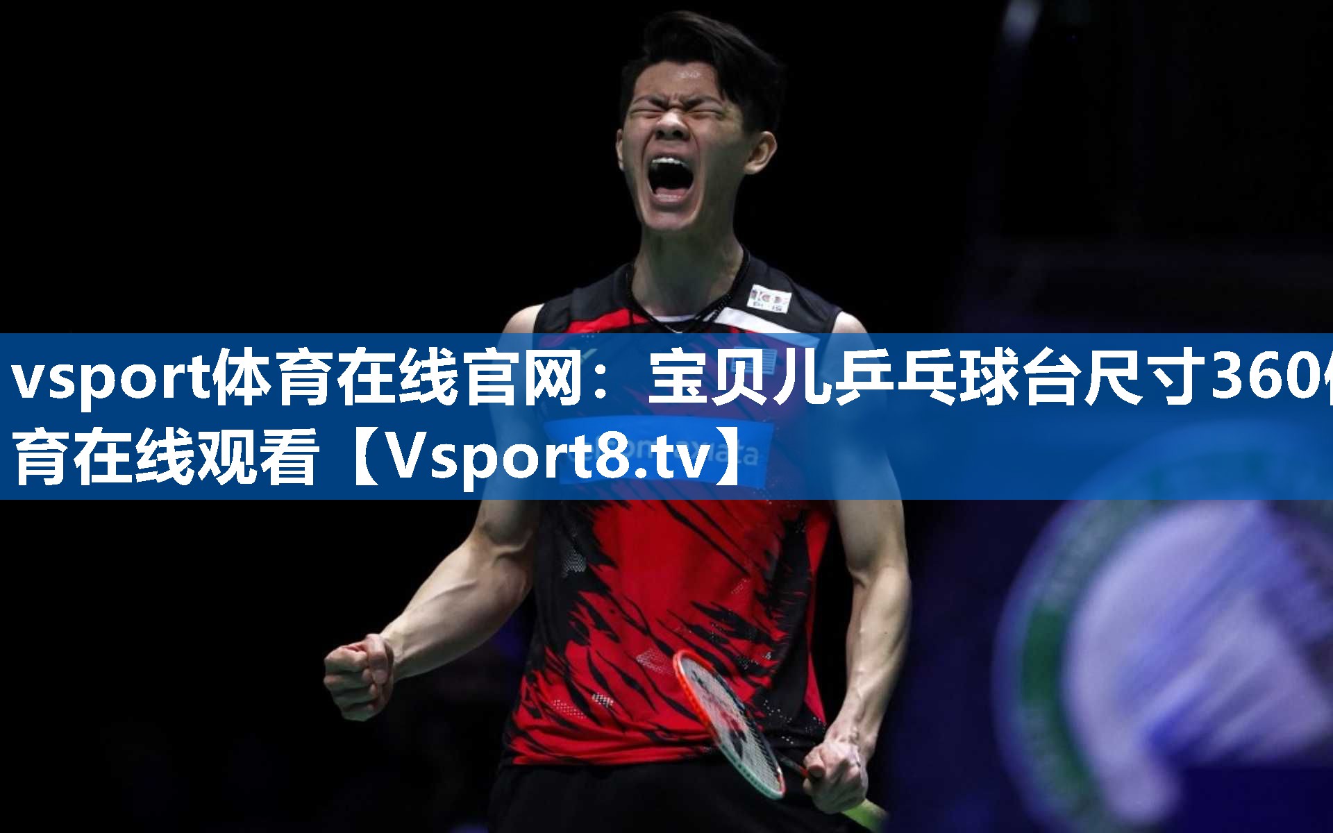 vsport体育在线官网：宝贝儿乒乓球台尺寸360体育在线观看