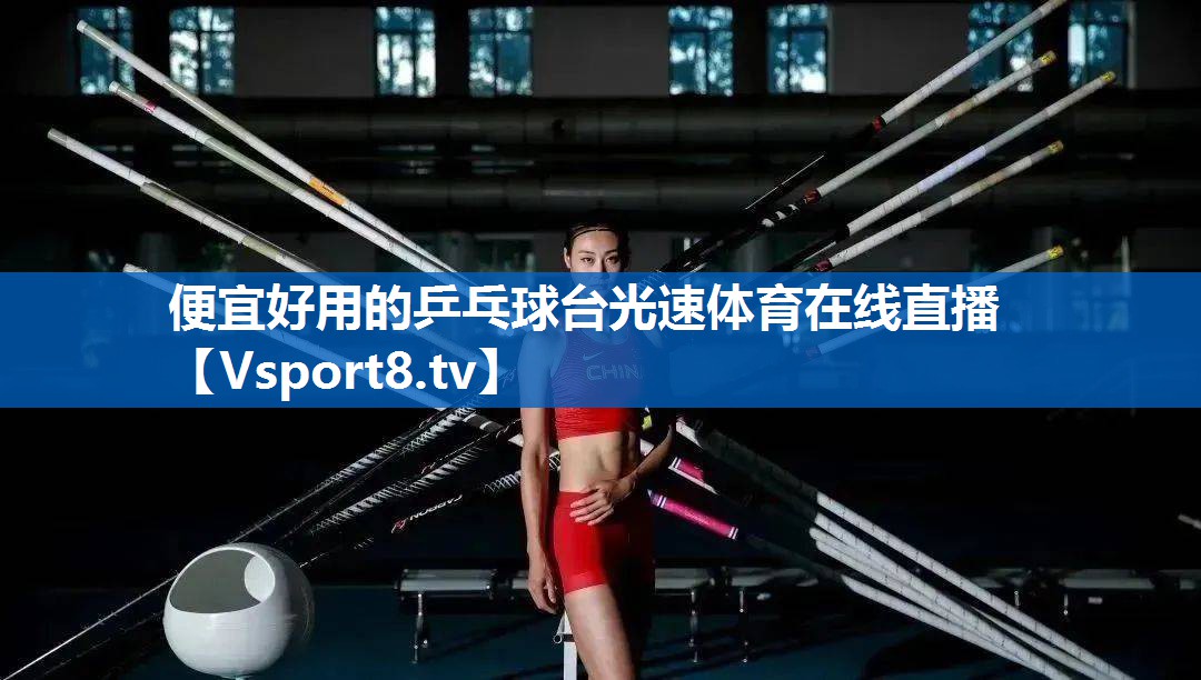 便宜好用的乒乓球台光速体育在线直播