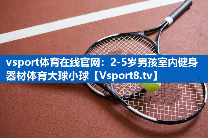 vsport体育在线官网：2-5岁男孩室内健身器材体育大球小球