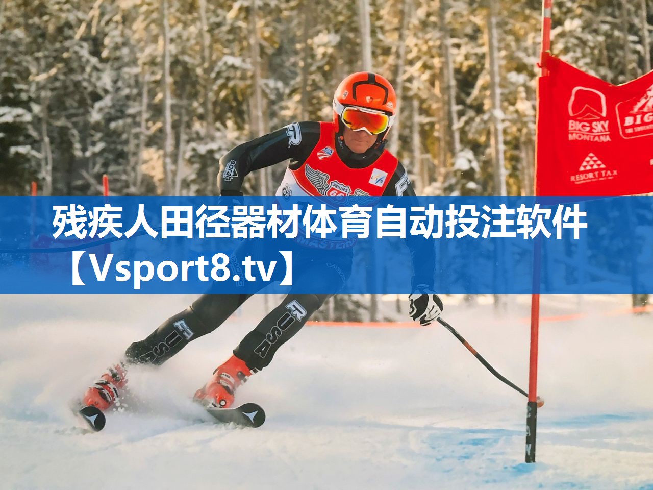 残疾人田径器材体育自动投注软件