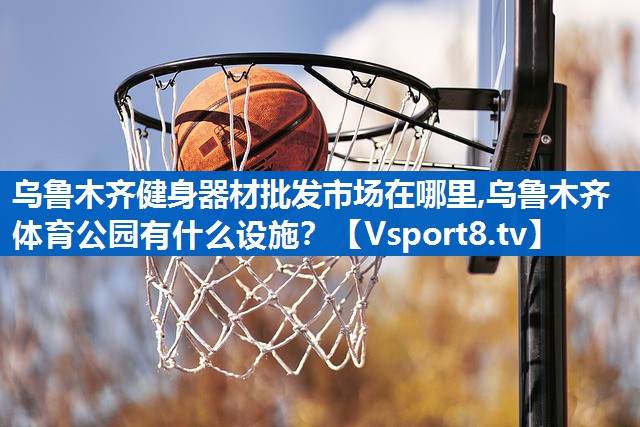 乌鲁木齐健身器材批发市场在哪里,乌鲁木齐体育公园有什么设施？