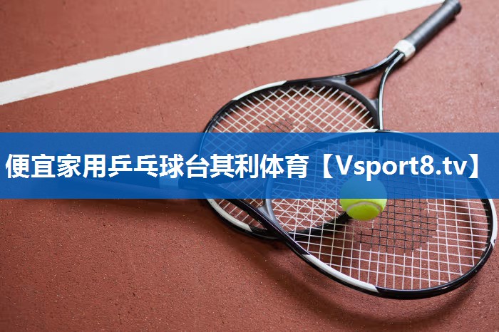 便宜家用乒乓球台其利体育