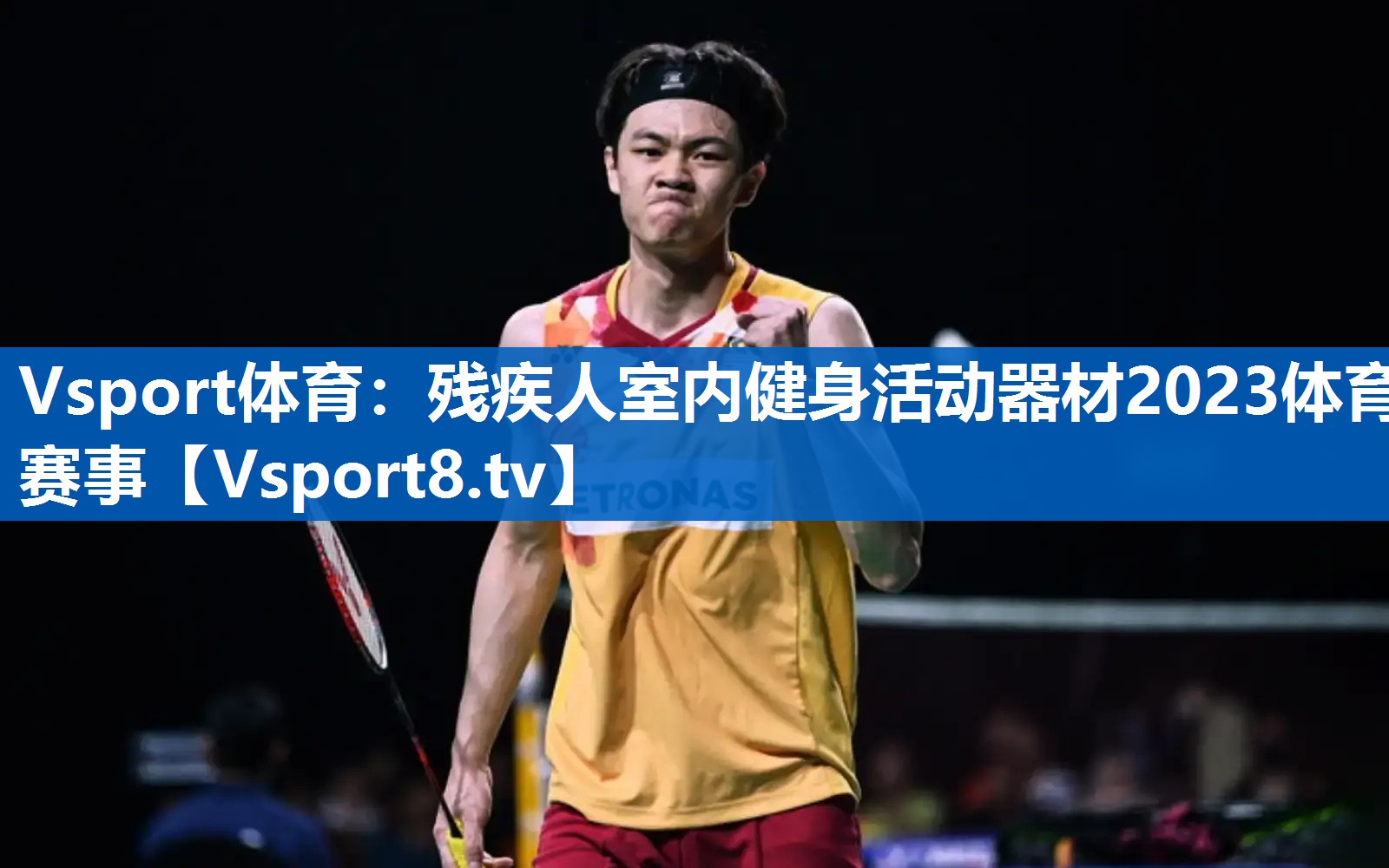 Vsport体育：残疾人室内健身活动器材2023体育赛事