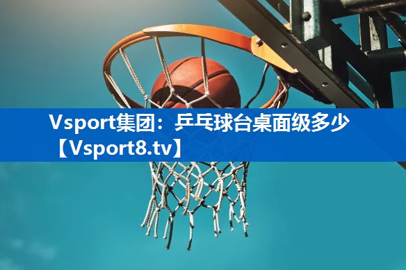 Vsport集团：乒乓球台桌面级多少
