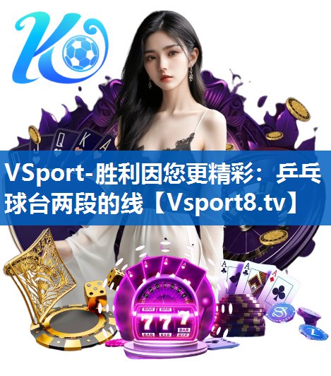 乒乓球台两段的线 乒乓球台两段的线