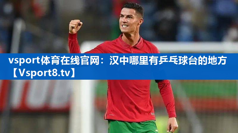 汉中哪里有乒乓球台的地方 汉中哪里有乒乓球台的地方