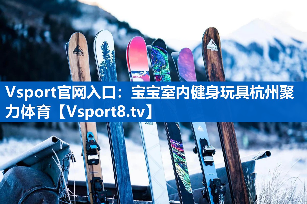 Vsport官网入口：宝宝室内健身玩具杭州聚力体育