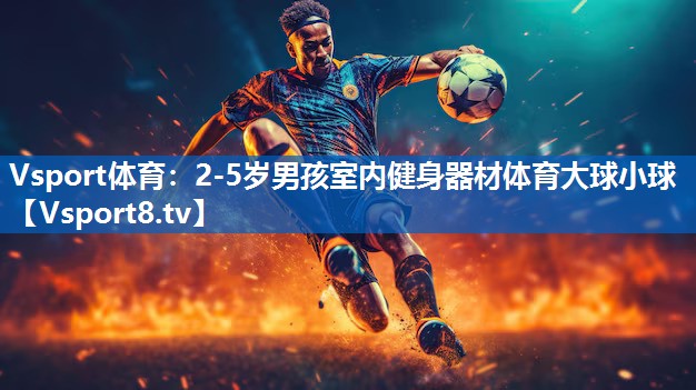 Vsport体育：2-5岁男孩室内健身器材体育大球小球