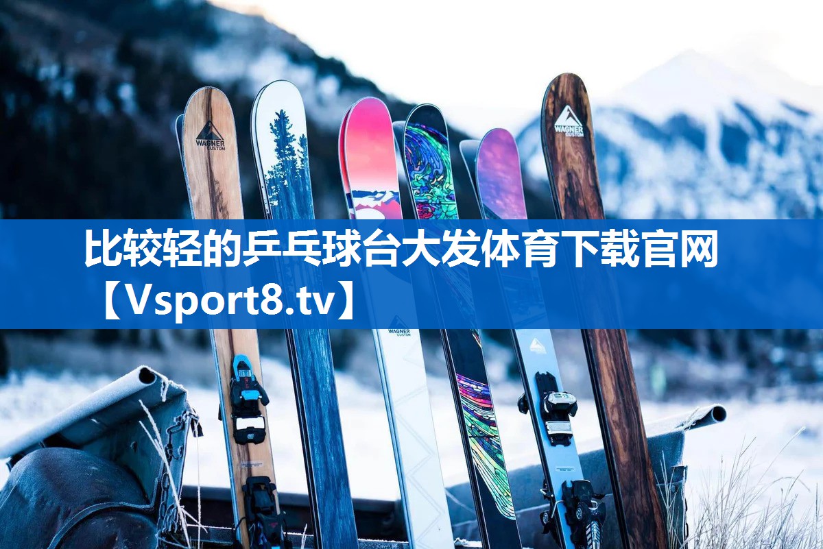 比较轻的乒乓球台大发体育下载官网