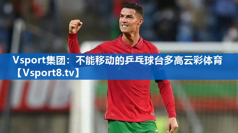 Vsport集团：不能移动的乒乓球台多高云彩体育