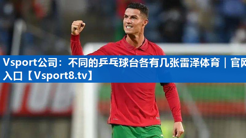 Vsport公司：不同的乒乓球台各有几张雷泽体育｜官网入口