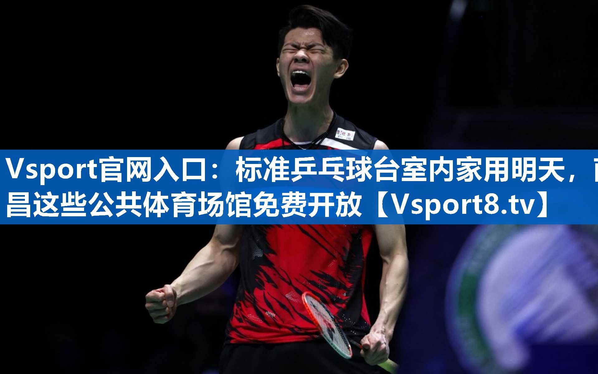 Vsport官网入口：标准乒乓球台室内家用明天，南昌这些公共体育场馆免费开放
