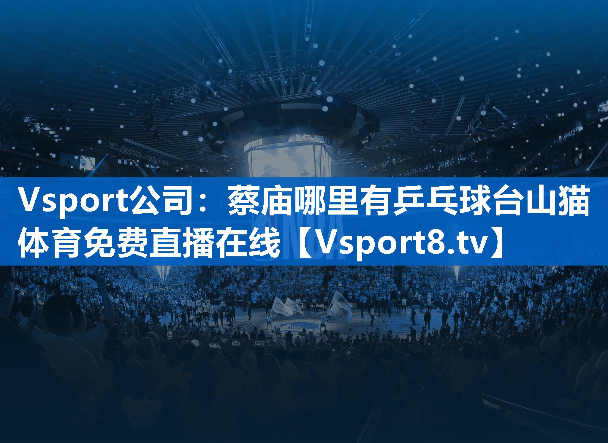 Vsport公司：蔡庙哪里有乒乓球台山猫体育免费直播在线