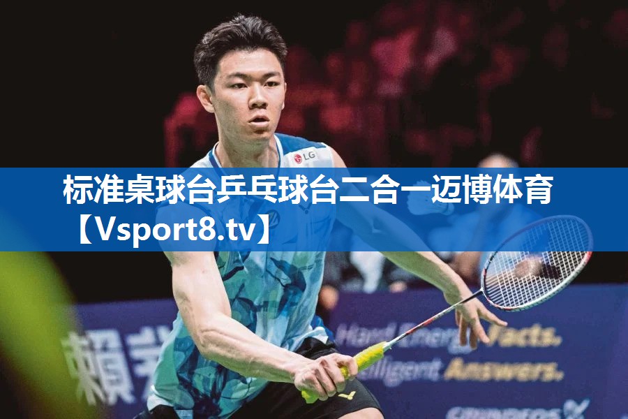 标准桌球台乒乓球台二合一迈博体育