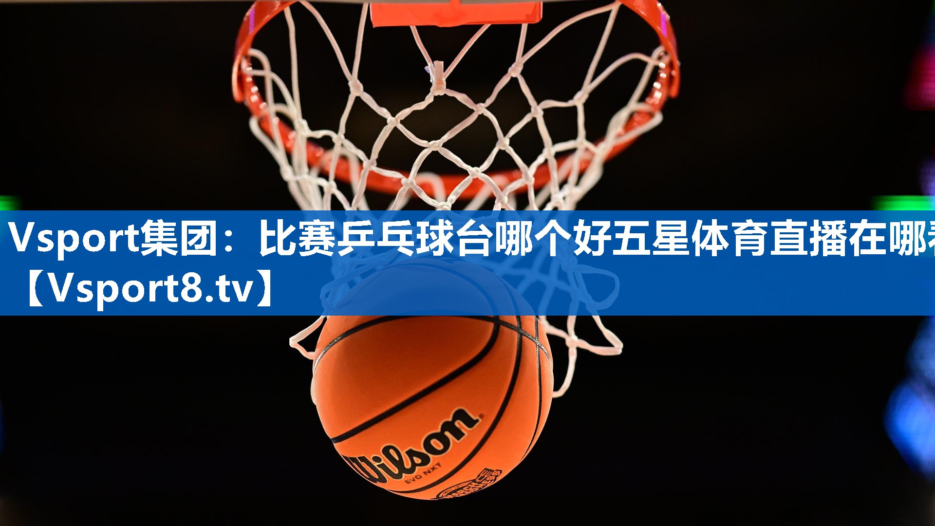 Vsport集团：比赛乒乓球台哪个好五星体育直播在哪看
