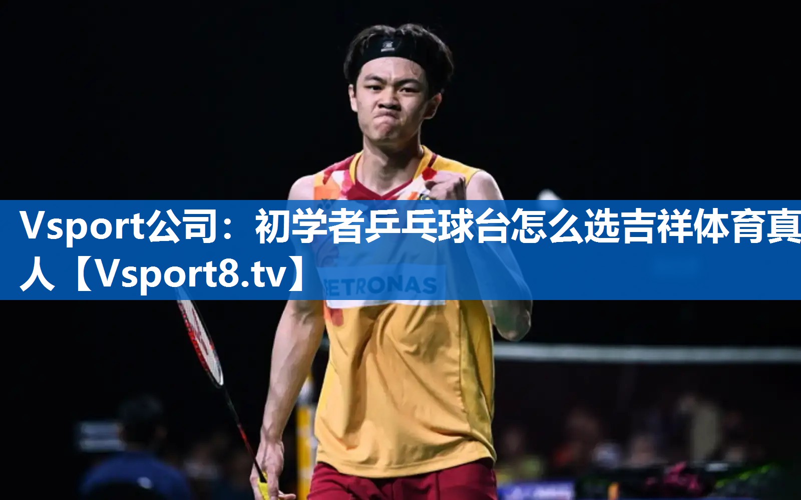 Vsport公司：初学者乒乓球台怎么选吉祥体育真人