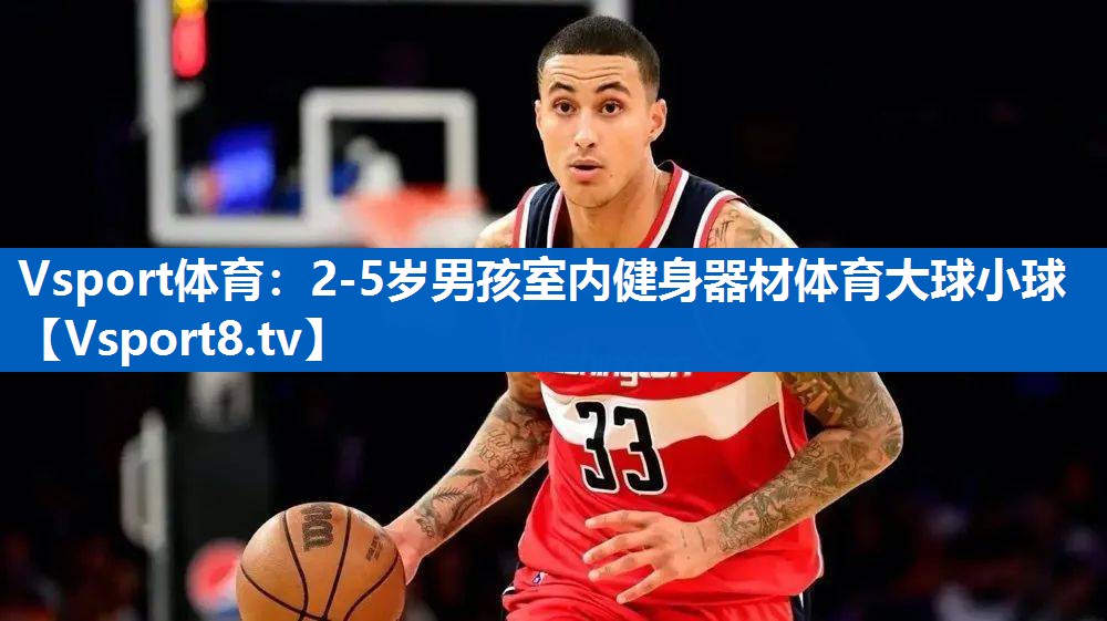 Vsport体育：2-5岁男孩室内健身器材体育大球小球