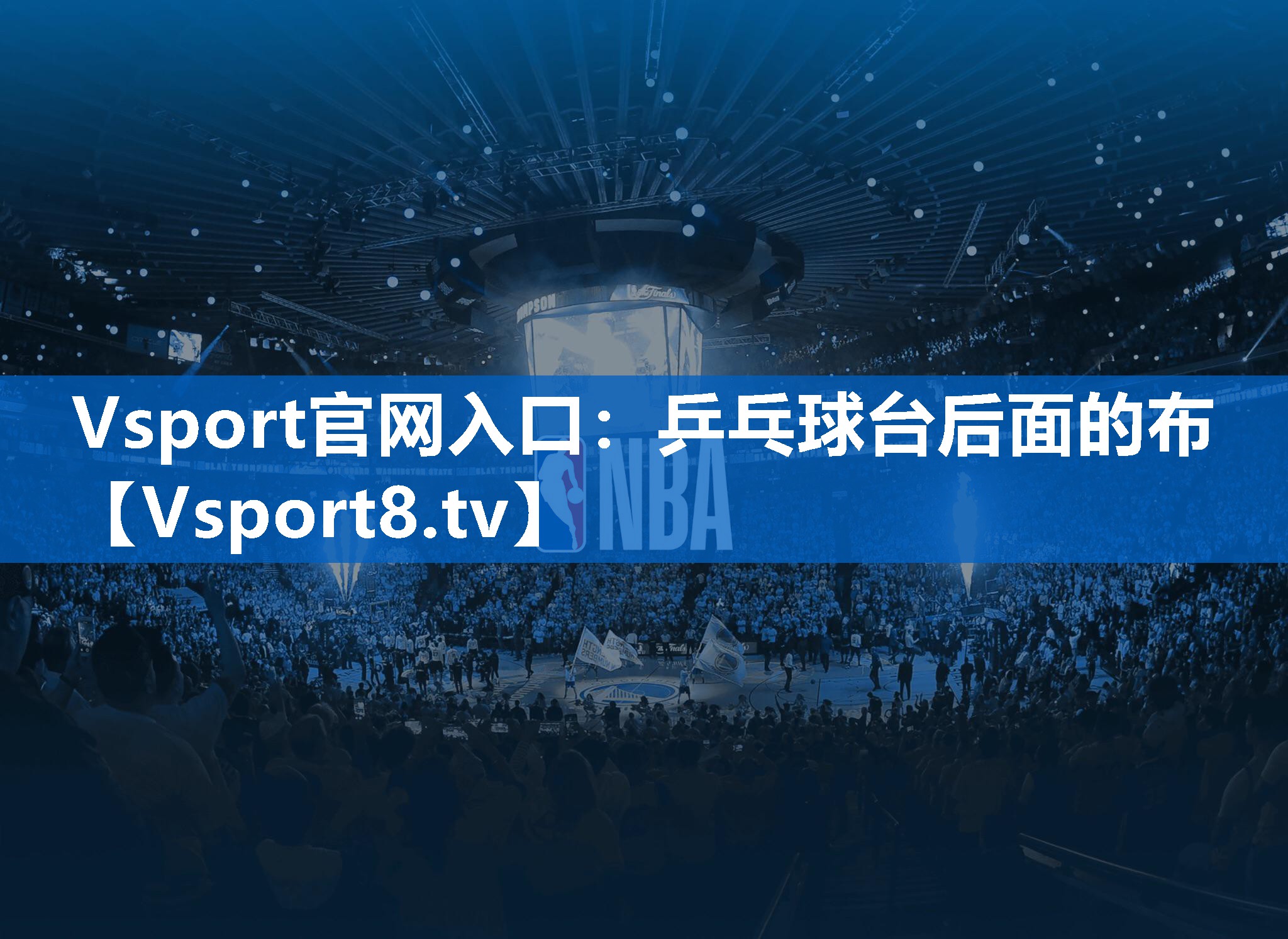 Vsport官网入口：乒乓球台后面的布