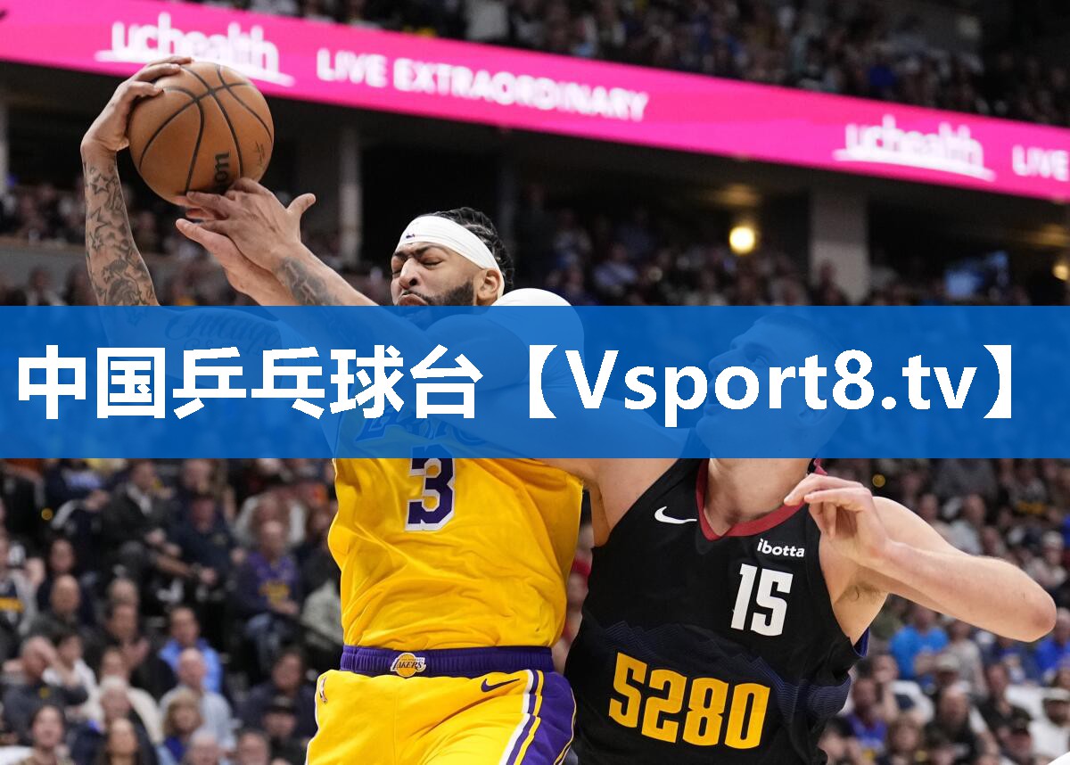 中国乒乓球台 中国乒乓球台